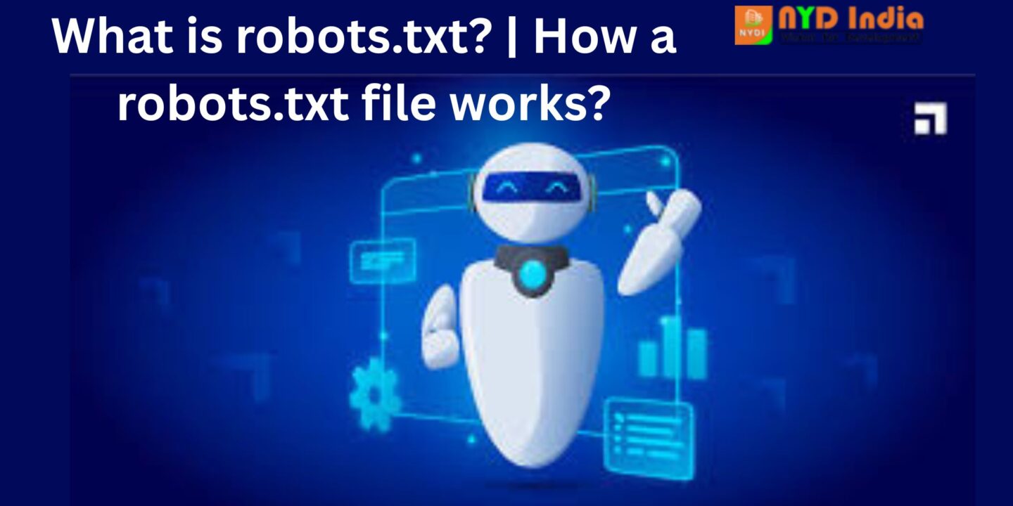 What is robots.txt? | How a robots.txt file works?