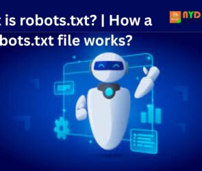 What is robots.txt? | How a robots.txt file works?