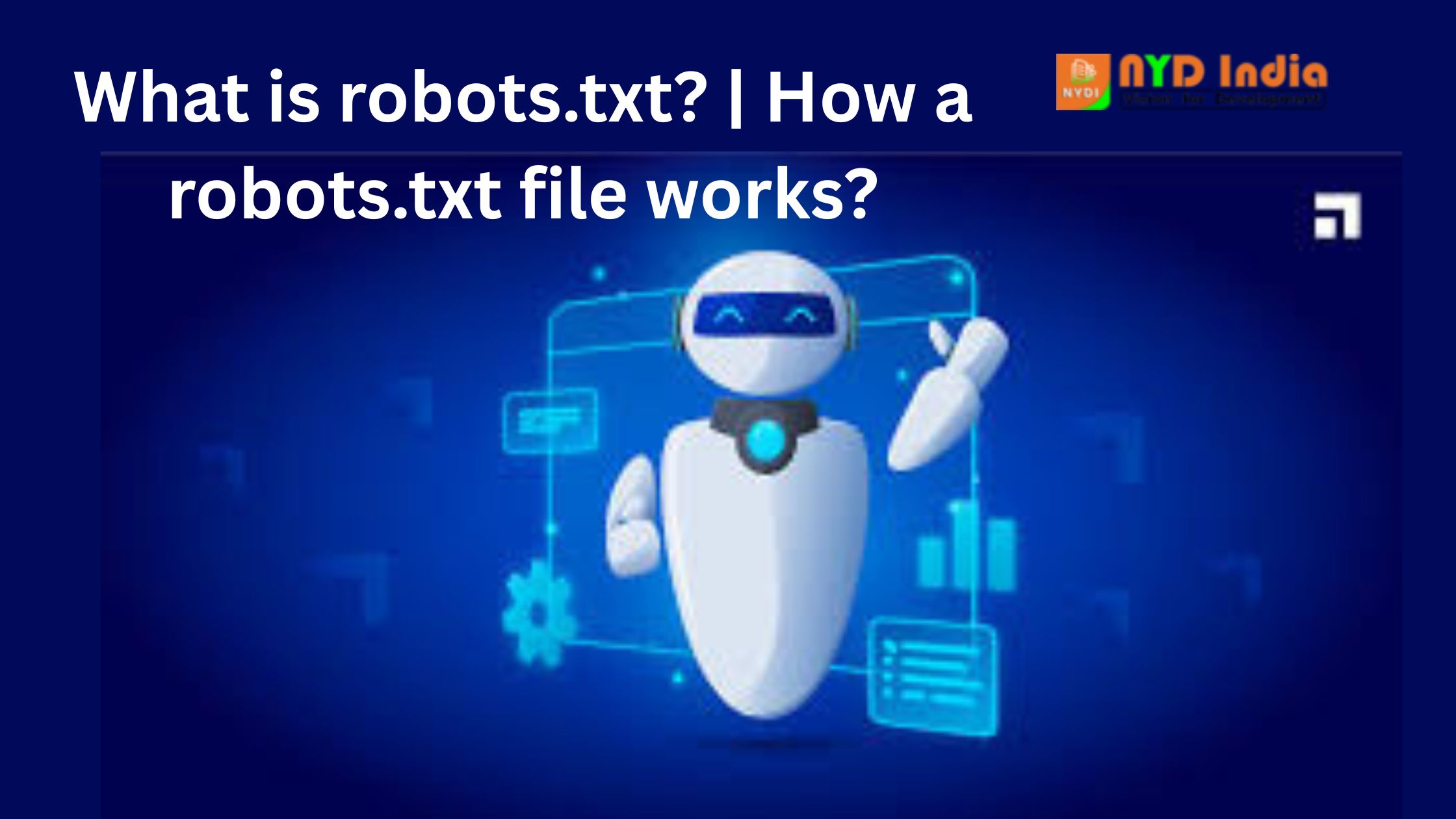 What is robots.txt? | How a robots.txt file works?